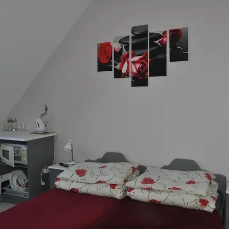 Homestay szállás Goscinne U Kasi *